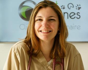 Dr Deswarte à la clinique vétérinaire des Arènes